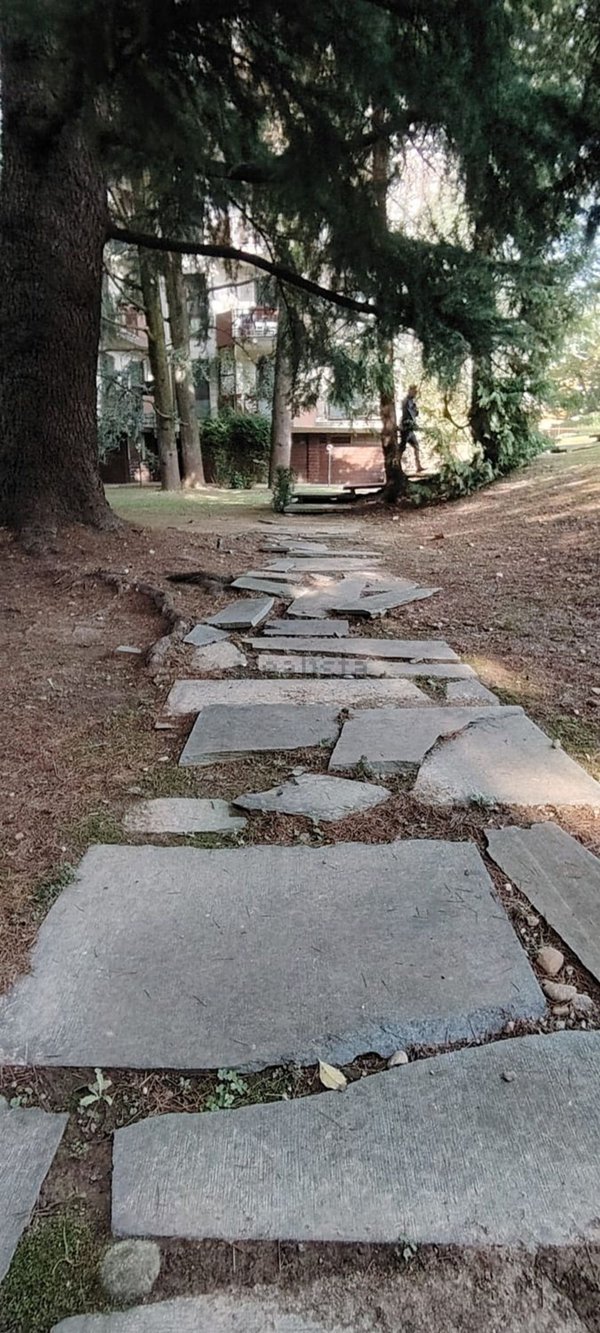 appartamento in vendita a Monza