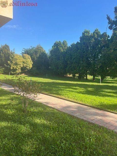 appartamento in vendita a Monza