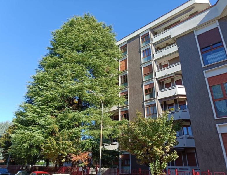 appartamento in vendita a Monza in zona Centro Storico