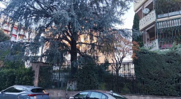 appartamento in vendita a Monza in zona Centro Storico