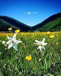 ufficio in vendita a Monza