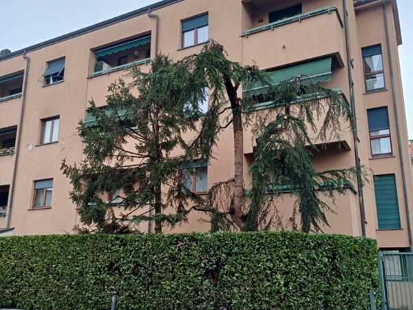 appartamento in vendita a Monza in zona Centro Storico