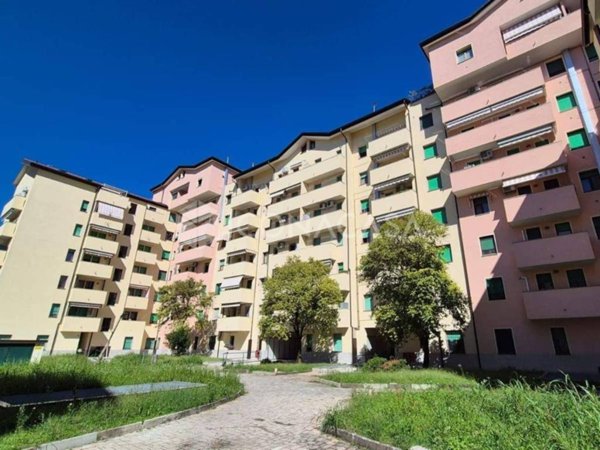 appartamento in vendita a Monza