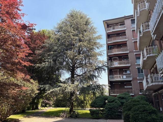 appartamento in vendita a Monza in zona Centro Storico