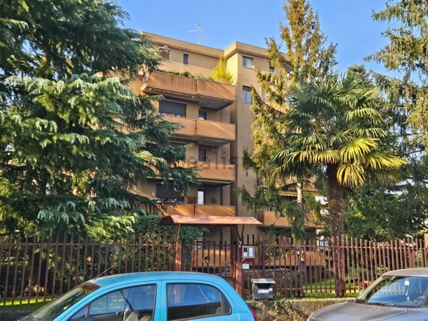 box auto in vendita a Monza