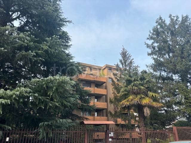 box auto in vendita a Monza
