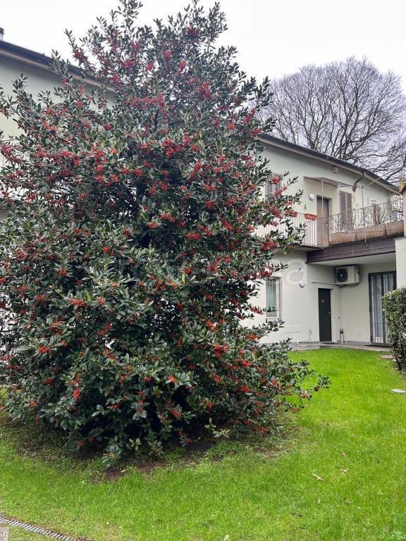appartamento in vendita a Monza in zona Centro Storico