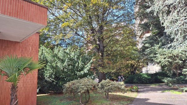 appartamento in vendita a Monza