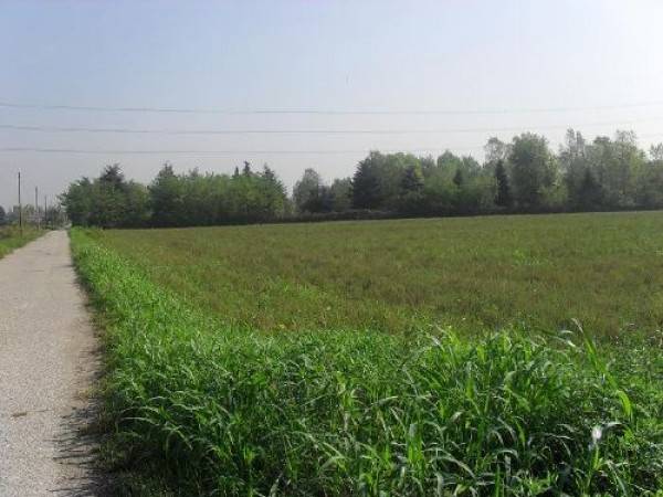 terreno agricolo in vendita a Muggiò in zona Taccona