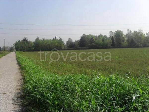 terreno agricolo in vendita a Muggiò in zona Taccona