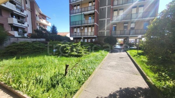appartamento in vendita a Muggiò