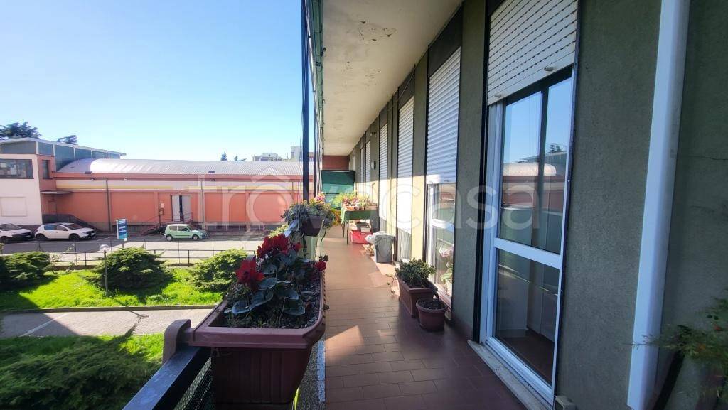 appartamento in vendita a Muggiò