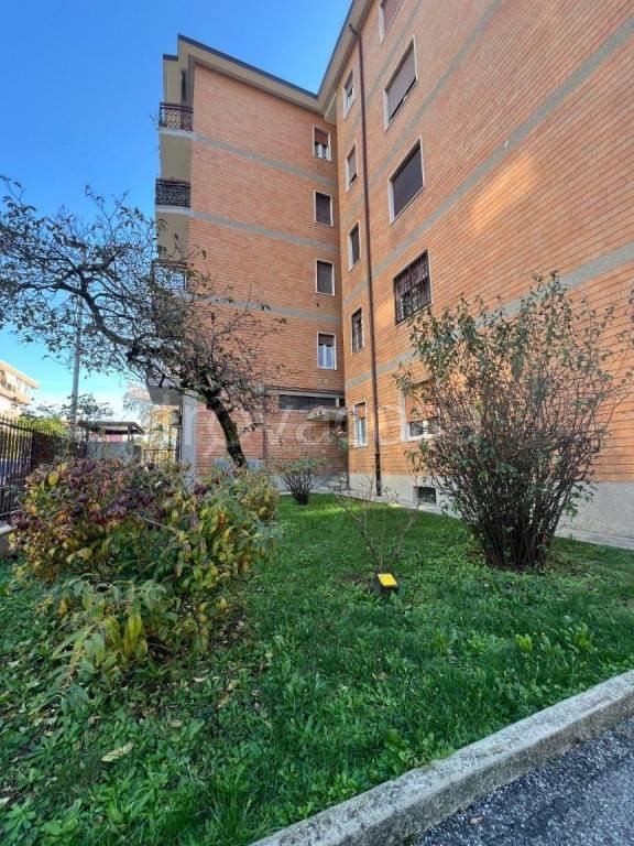 appartamento in vendita a Muggiò