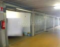 appartamento in vendita a Muggiò