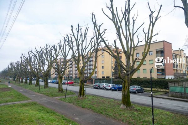 appartamento in vendita a Muggiò