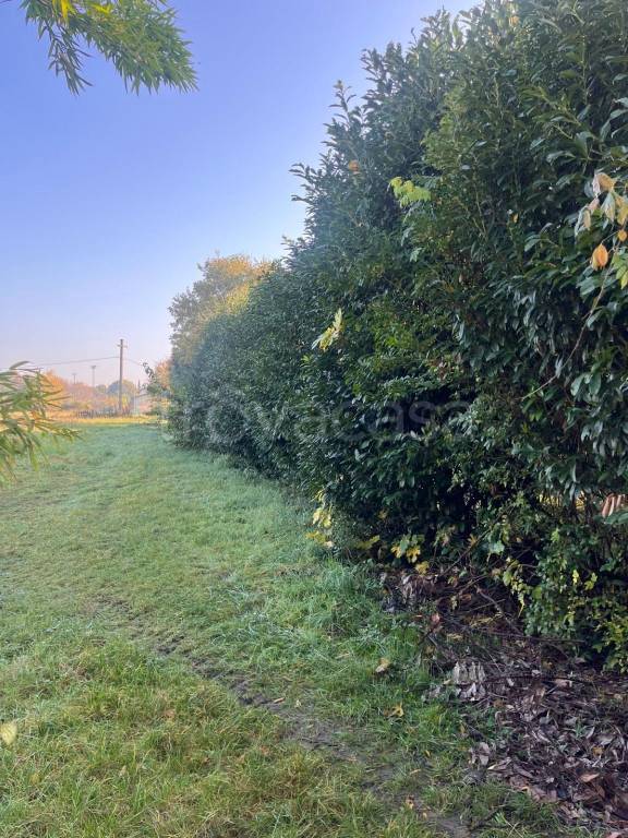 terreno agricolo in vendita a Muggiò