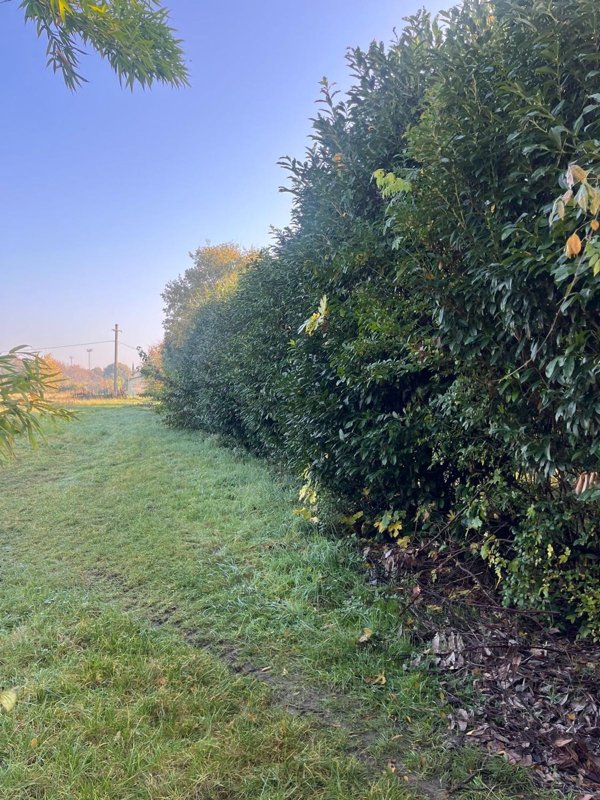 appartamento in vendita a Muggiò