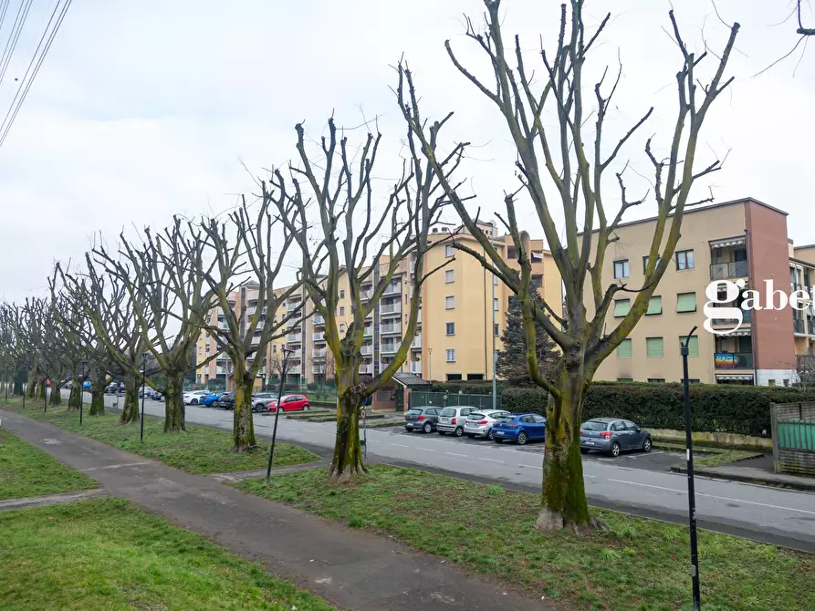 appartamento in vendita a Muggiò