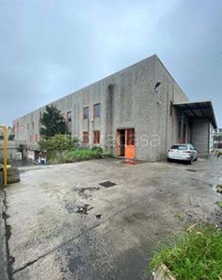 locale commerciale in vendita a Nova Milanese