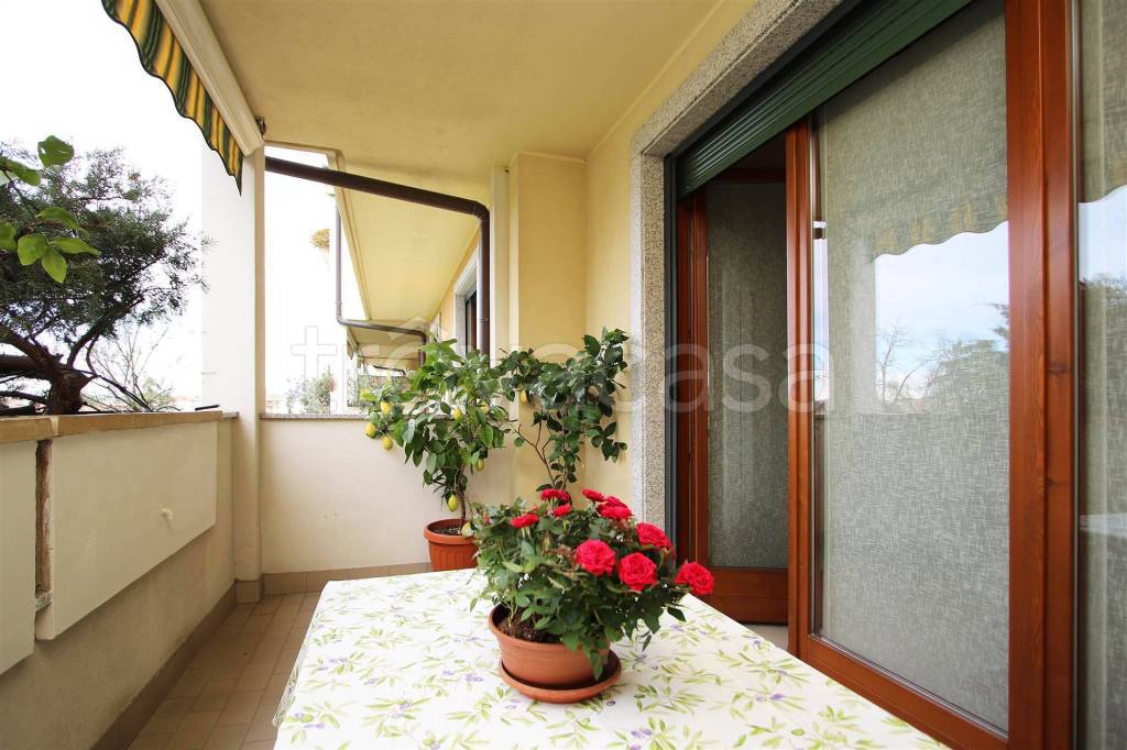 appartamento in vendita a Nova Milanese