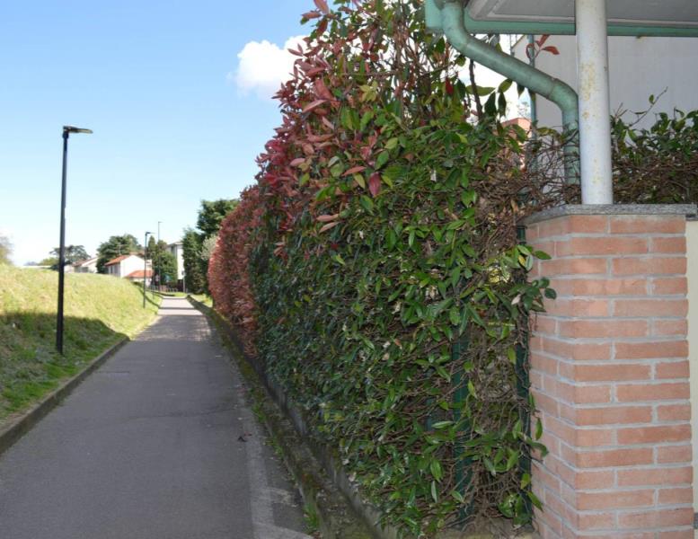 appartamento in vendita a Nova Milanese
