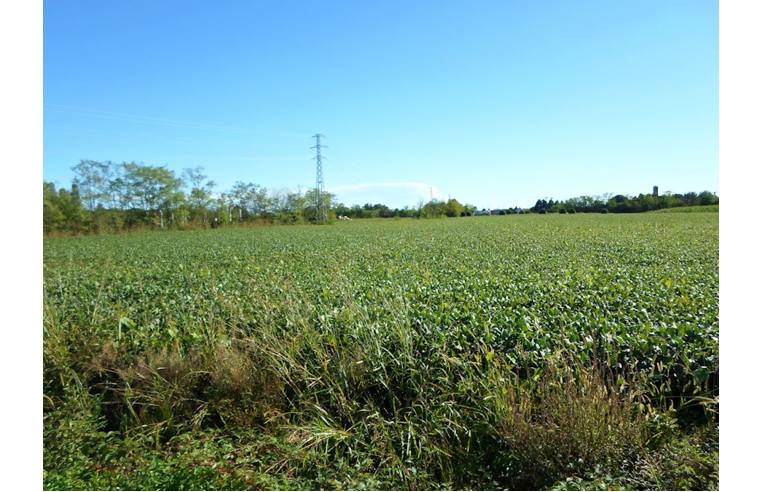 terreno agricolo in vendita ad Ornago