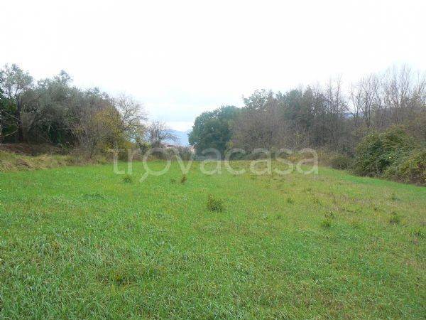 terreno agricolo in vendita ad Ornago