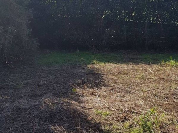 terreno agricolo in vendita a Seregno