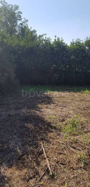 terreno agricolo in vendita a Seregno