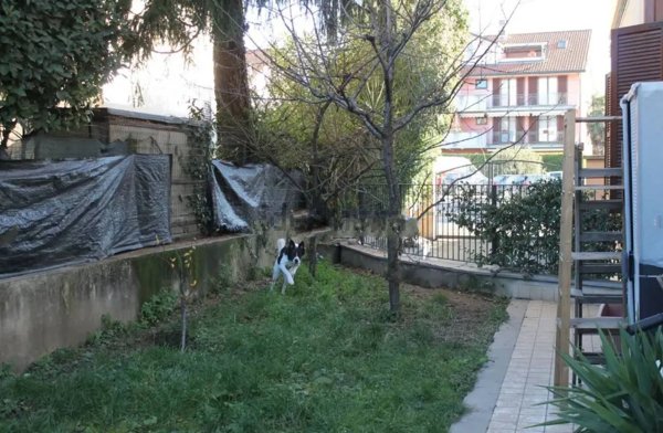 appartamento in vendita a Seregno