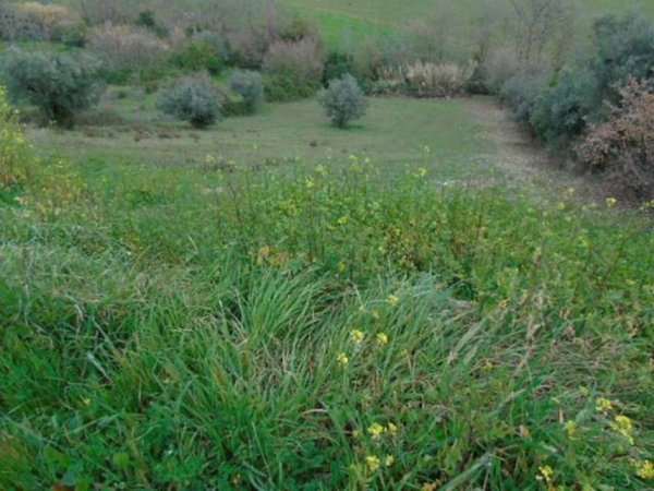 terreno agricolo in vendita a Seregno
