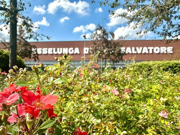 appartamento in vendita a Seregno