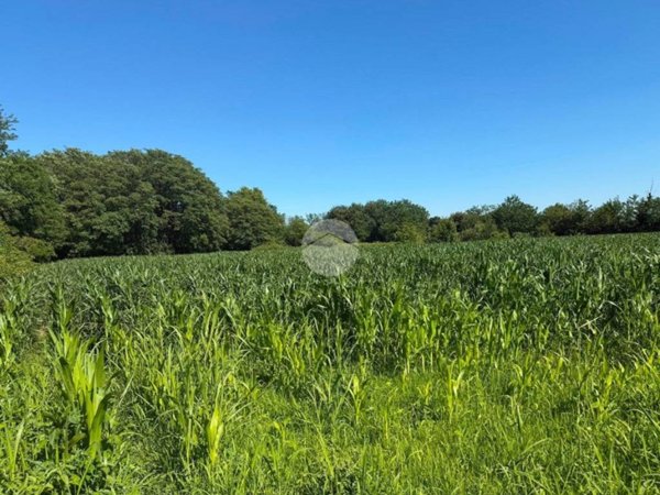 terreno agricolo in vendita a Seregno