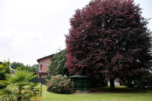 casa indipendente in vendita a Seveso