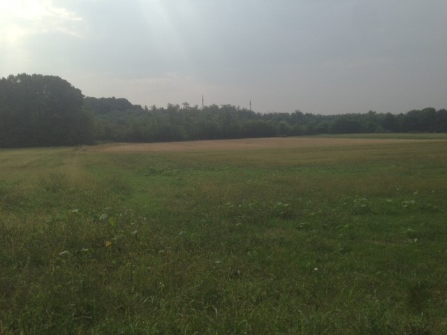 terreno agricolo in vendita a Triuggio