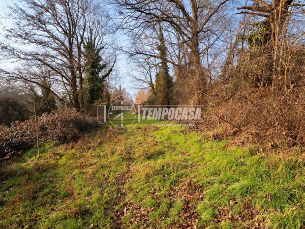 terreno agricolo in vendita a Triuggio