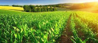 terreno agricolo in vendita ad Usmate Velate