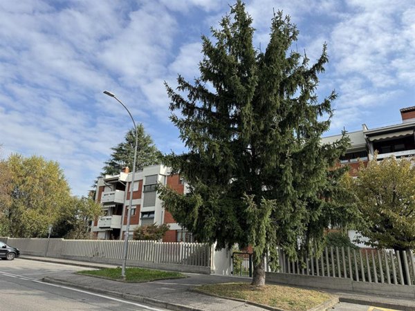 appartamento in vendita a Vedano al Lambro