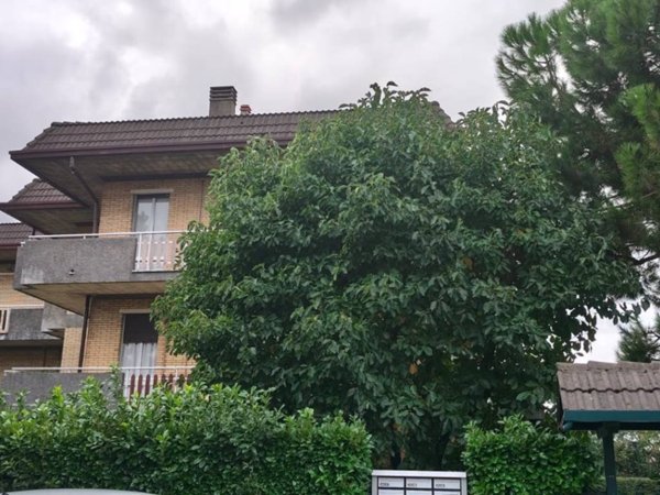 appartamento in vendita a Verano Brianza