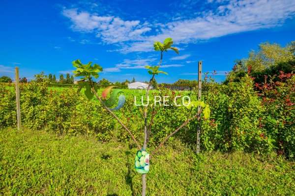 terreno agricolo in vendita a Vimercate