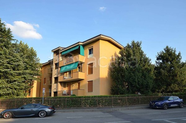 immagine annuncio 0 di 15