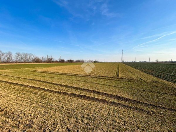 terreno agricolo in vendita a Busnago
