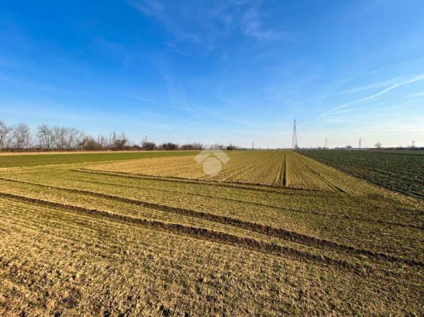 terreno agricolo in vendita a Busnago