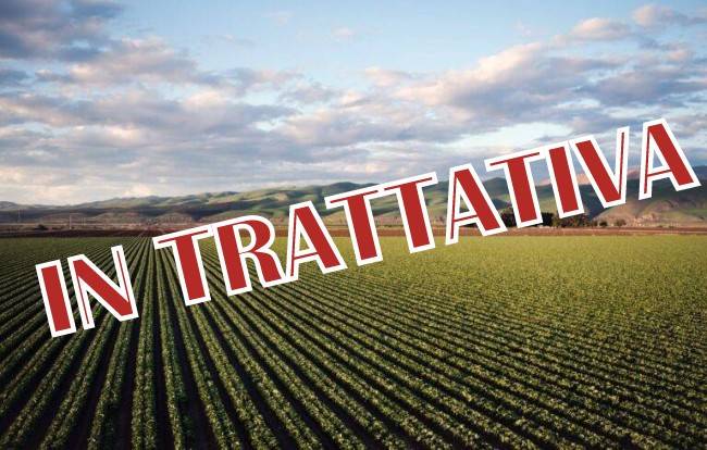 terreno agricolo in vendita a Busnago