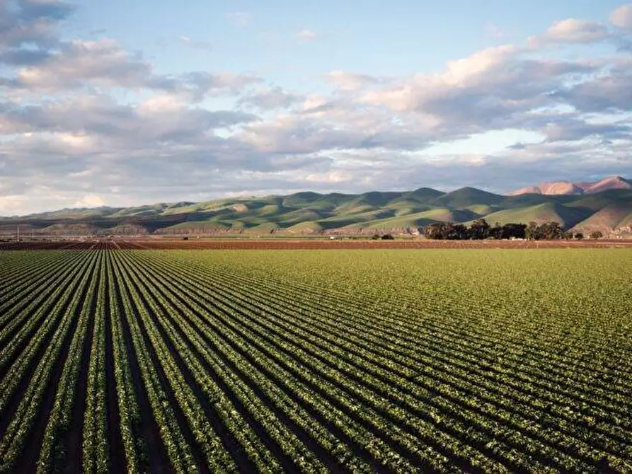 terreno agricolo in vendita a Busnago