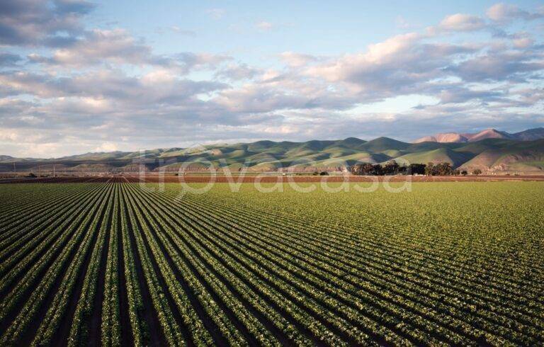 terreno agricolo in vendita a Busnago