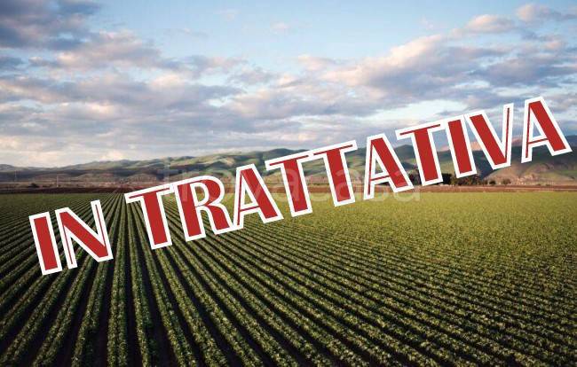 terreno agricolo in vendita a Busnago