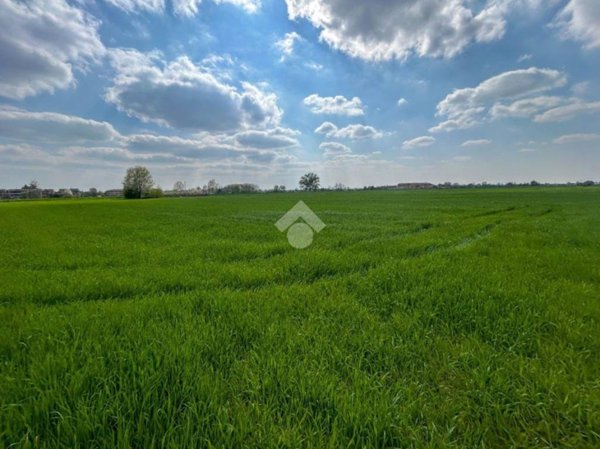 terreno agricolo in vendita a Caponago