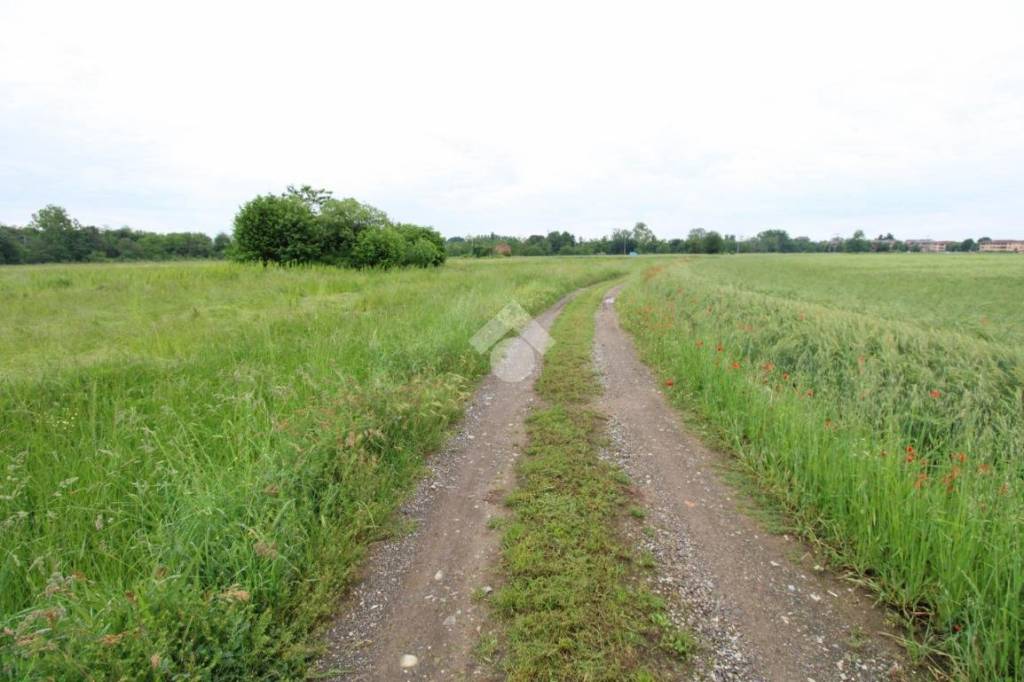 terreno agricolo in vendita a Caponago
