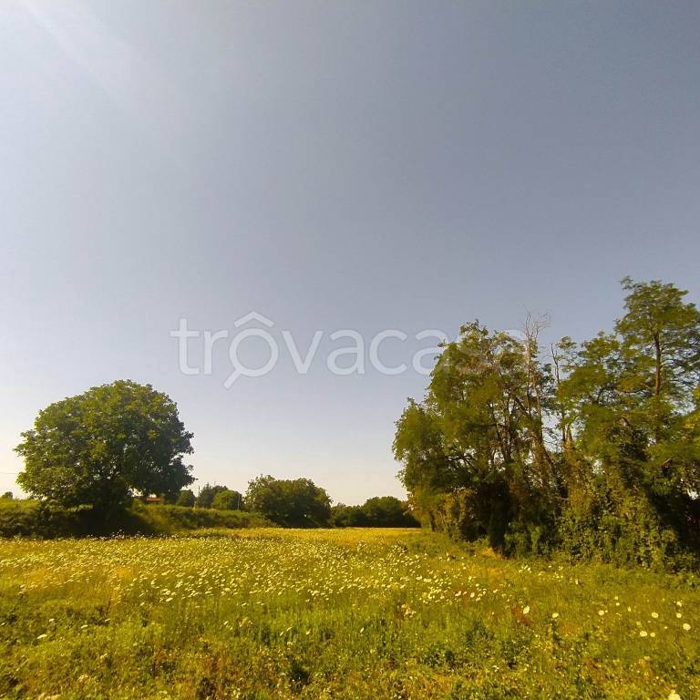 terreno agricolo in vendita a Cornate d'Adda